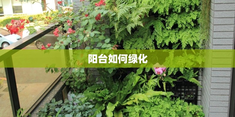 桃梅的种植方法？