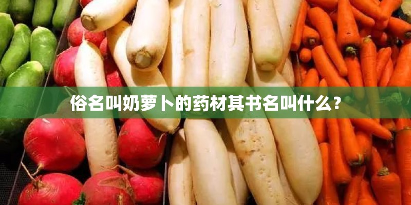俗名叫奶萝卜的药材其书名叫什么？