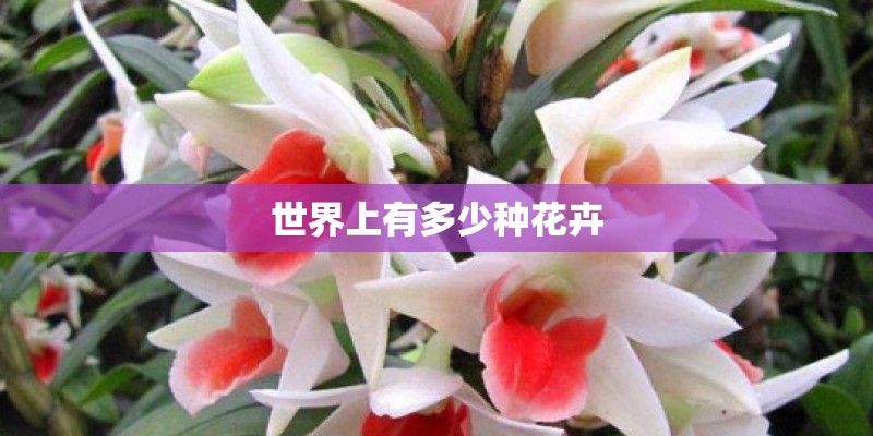 世界上有多少种花卉