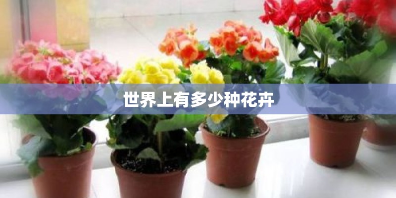 世界上有多少种花卉