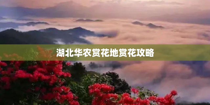 湖北华农赏花地赏花攻略