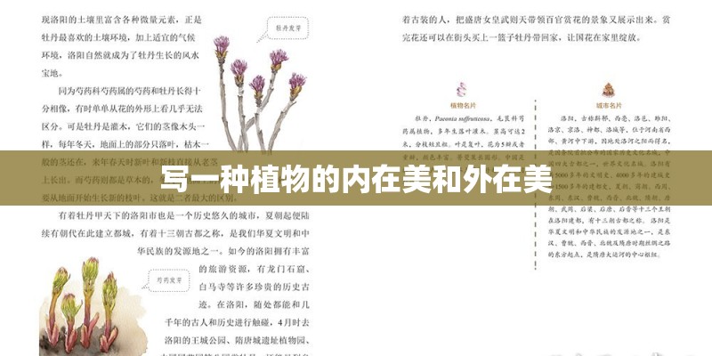 写一种植物的内在美和外在美