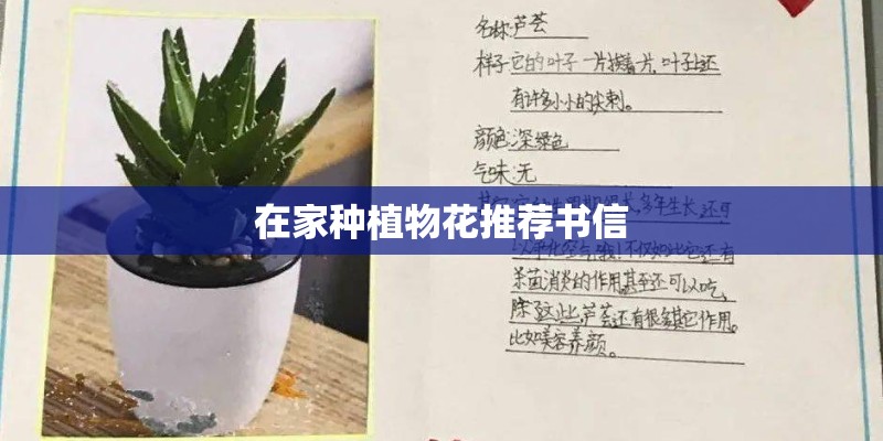 在家种植物花推荐书信