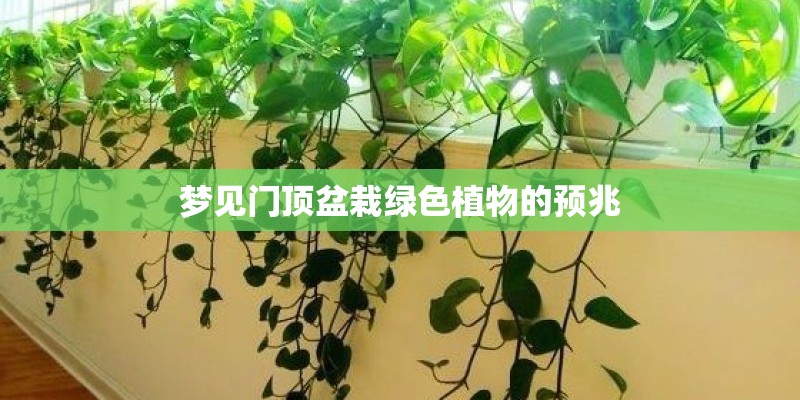 梦见门顶盆栽绿色植物的预兆