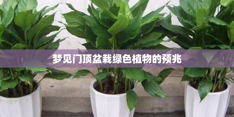 梦见门顶盆栽绿色植物的预兆