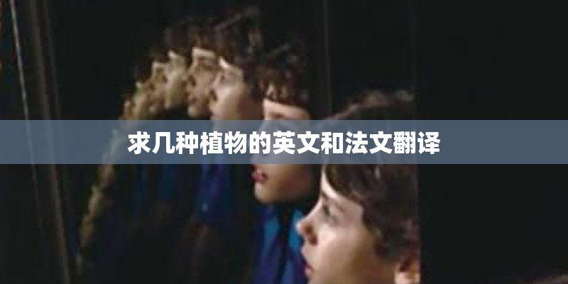 求几种植物的英文和法文翻译