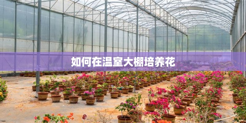 如何在温室大棚培养花