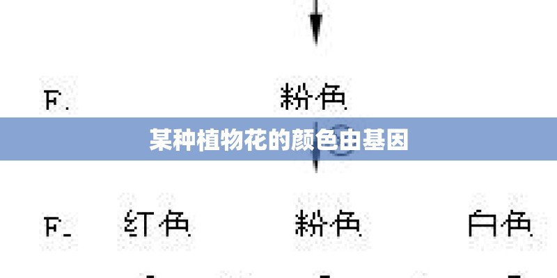 某种植物花的颜色由基因