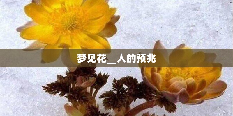 梦见花__人的预兆