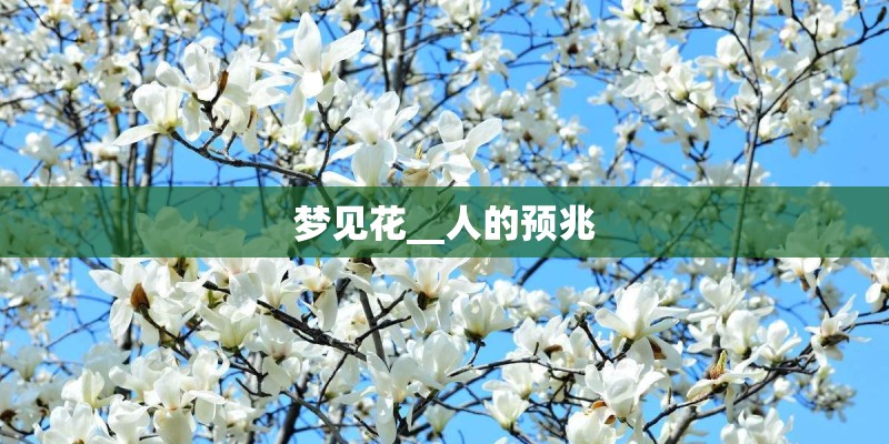 梦见花__人的预兆