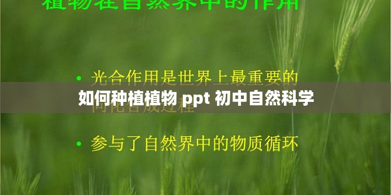 如何种植植物 ppt 初中自然科学