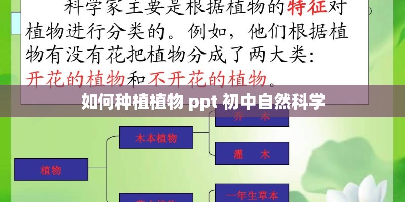 如何种植植物 ppt 初中自然科学