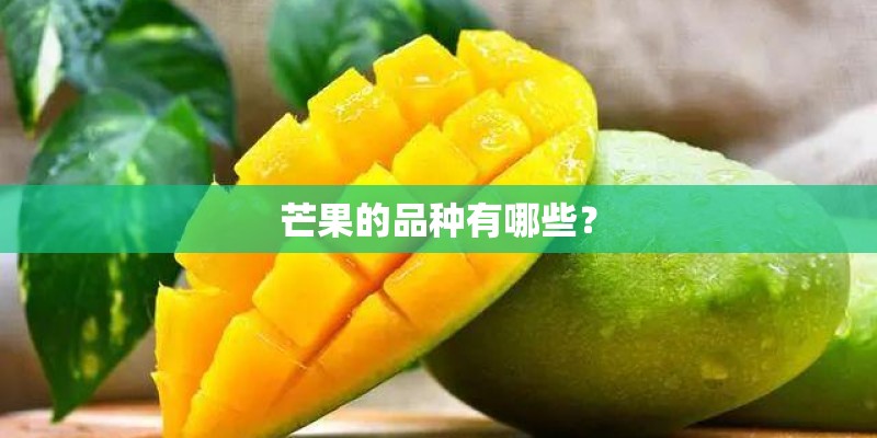 芒果的品种有哪些？