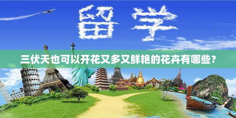 三伏天也可以开花又多又鲜艳的花卉有哪些？