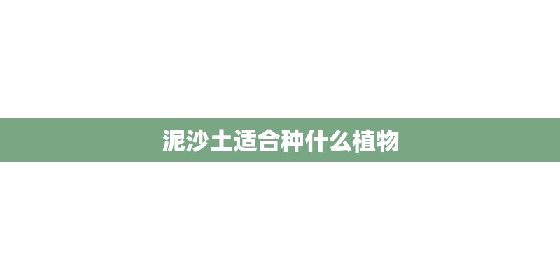 泥沙土适合种什么植物