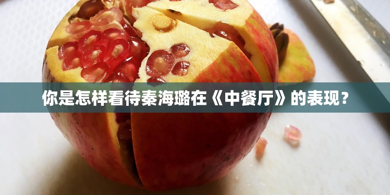 你是怎样看待秦海璐在《中餐厅》的表现？