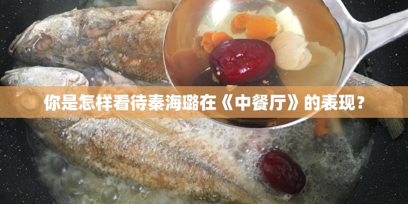 你是怎样看待秦海璐在《中餐厅》的表现？