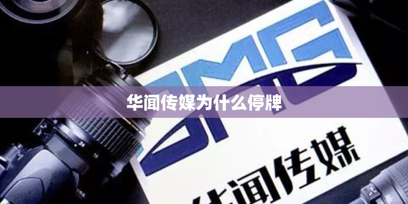 华闻传媒为什么停牌
