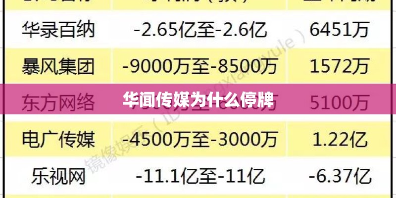 华闻传媒为什么停牌
