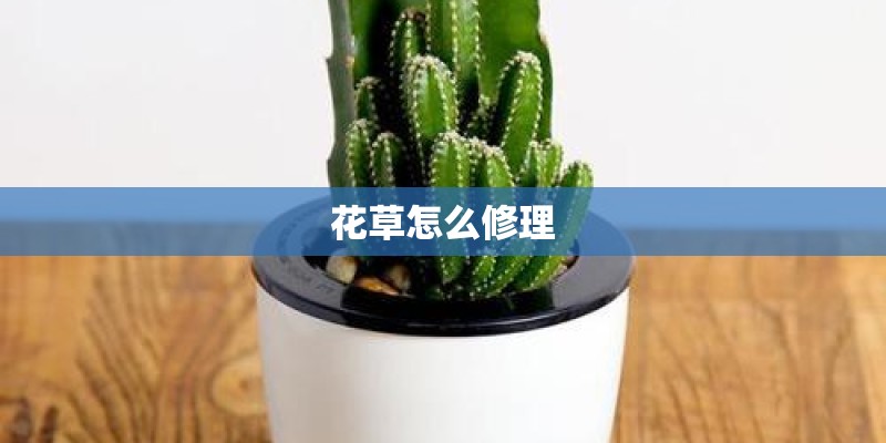 花草怎么修理