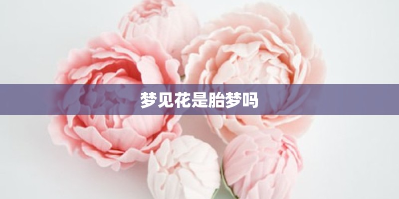 梦见花是胎梦吗