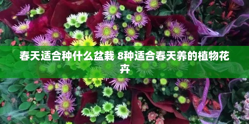 春天适合种什么盆栽 8种适合春天养的植物花卉