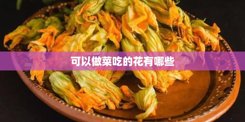 可以做菜吃的花有哪些