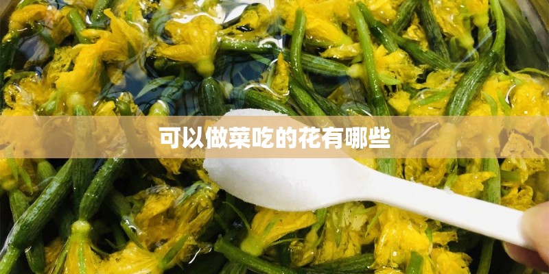 可以做菜吃的花有哪些