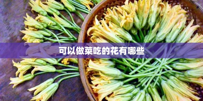 可以做菜吃的花有哪些