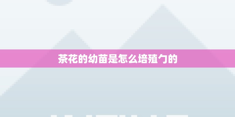 茶花的幼苗是怎么培殖勹的