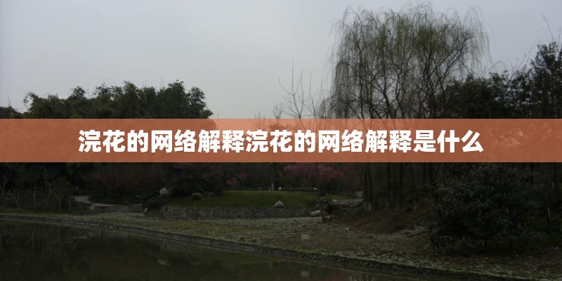 浣花的网络解释浣花的网络解释是什么