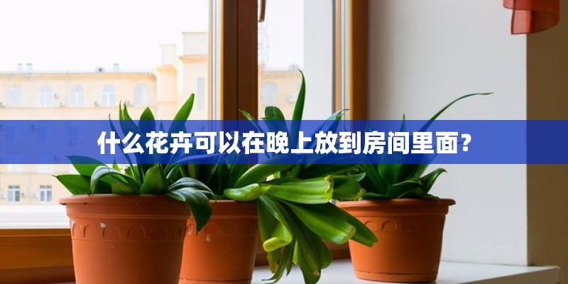 什么花卉可以在晚上放到房间里面？