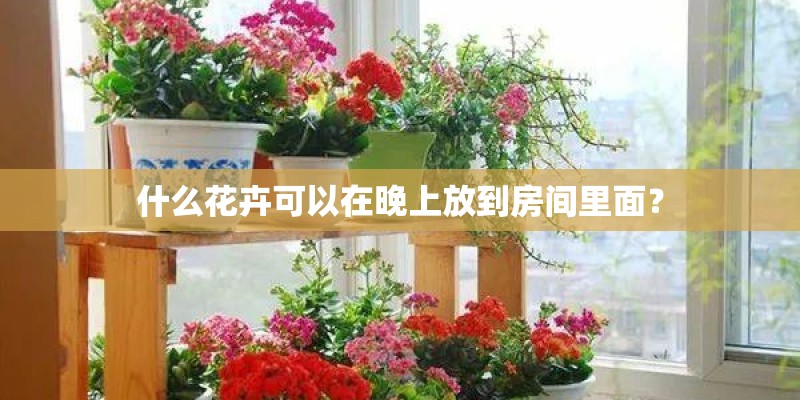 什么花卉可以在晚上放到房间里面？