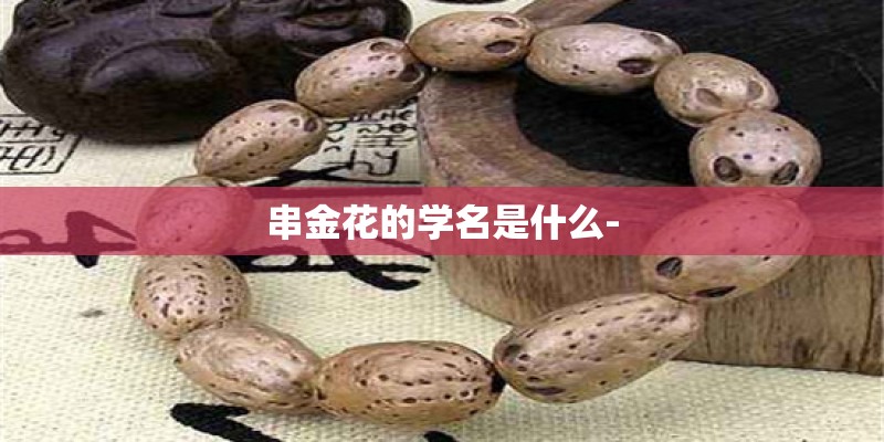 串金花的学名是什么-