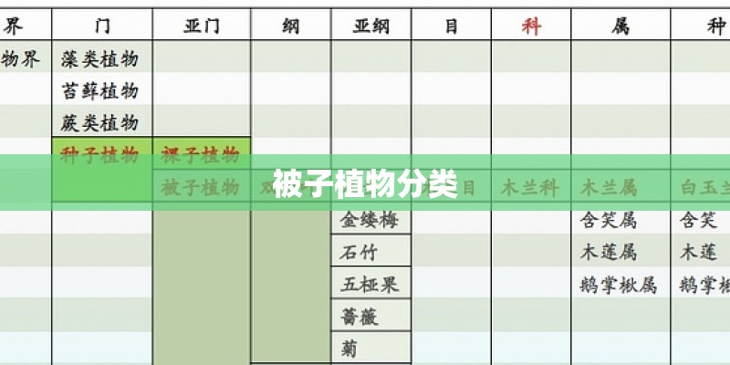 被子植物分类