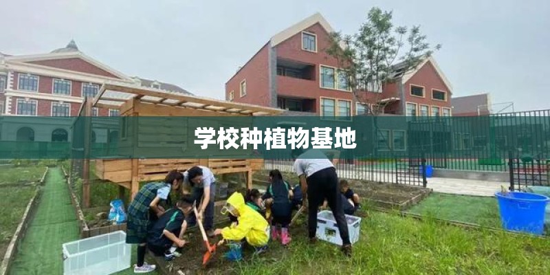 学校种植物基地