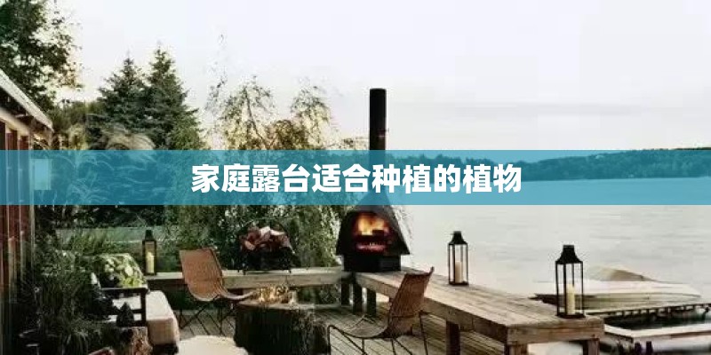 家庭露台适合种植的植物