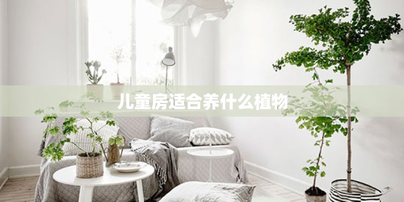 儿童房适合养什么植物