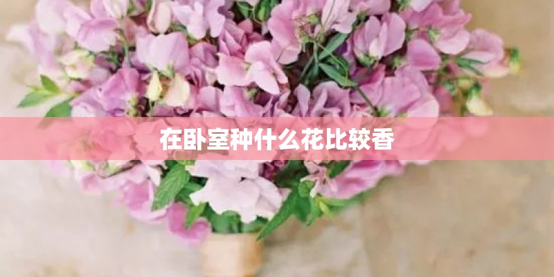 鸢尾适合在哪里种植
