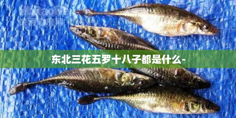 东北三花五罗十八子都是什么-