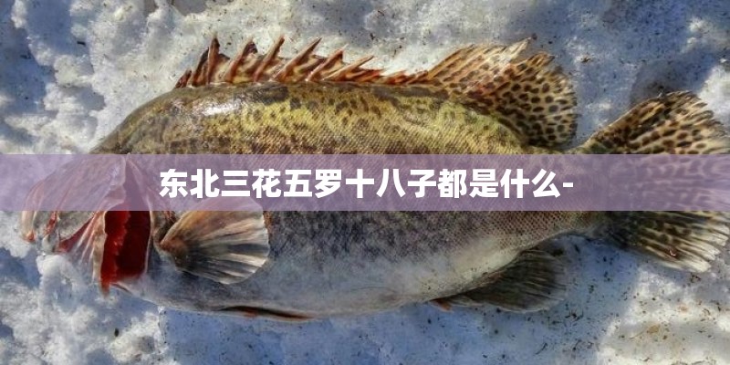 东北三花五罗十八子都是什么-