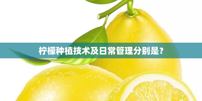 柠檬种植技术及日常管理分别是？