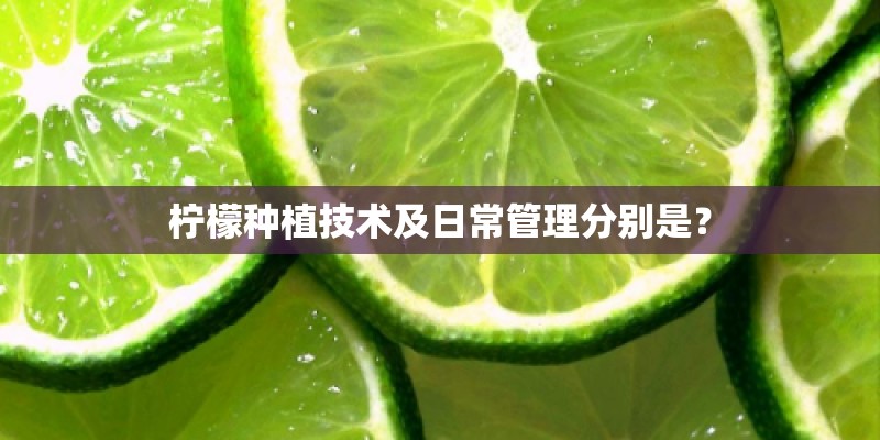 柠檬种植技术及日常管理分别是？