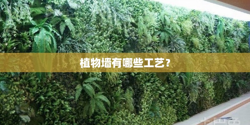 植物墙有哪些工艺？