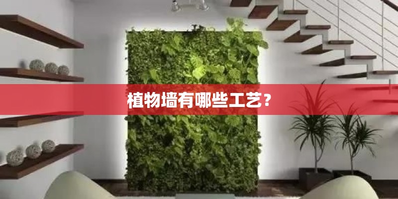 植物墙有哪些工艺？