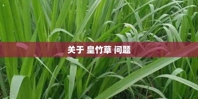 关于 皇竹草 问题