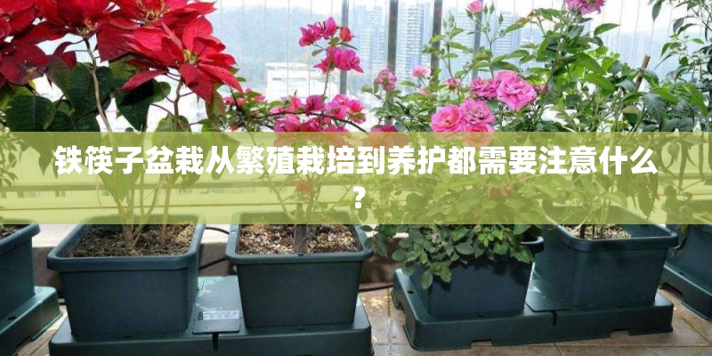 中关村数码商场的东西为什么便宜？