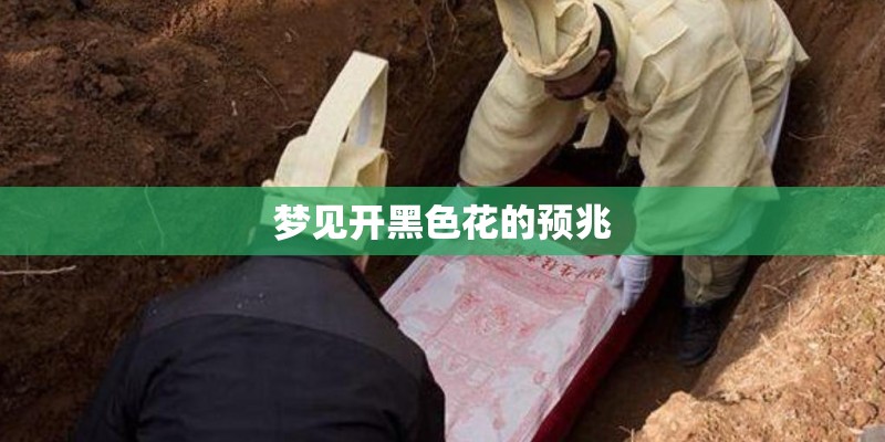 梦见开黑色花的预兆