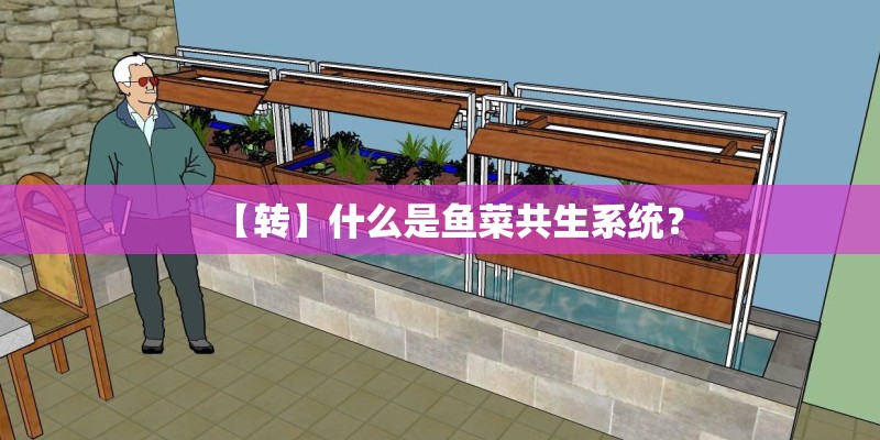 【转】什么是鱼菜共生系统？