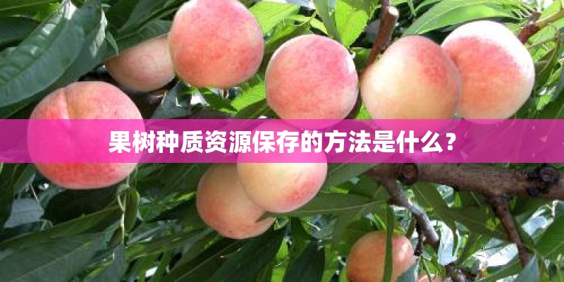 果树种质资源保存的方法是什么？